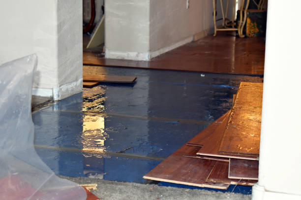 Professional Water Damage technician working in Central Falls, RI
